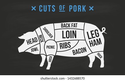 Cuts Of Meat. Pork Cuts. Butcher's Guide Diagram. Vintage Poster For Butcher Shop, Meat Shop, Grocery Store, Restaurant. Vector Illustration