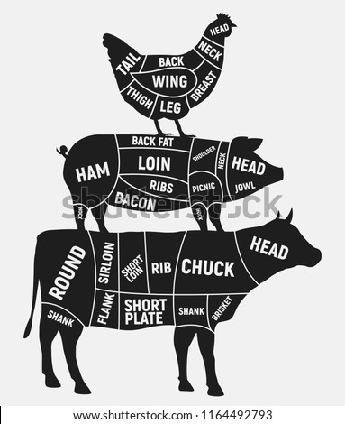 Cuts of meat set. Vintage Poster for butcher shop. Cuts of Beef, Pork, Chicken. Vector illustration.