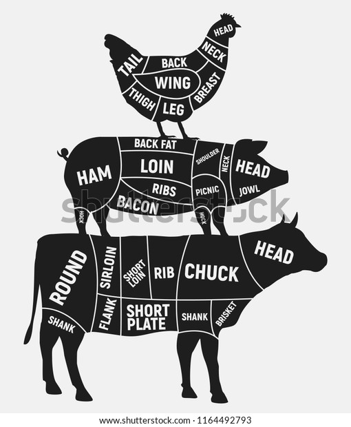 Cuts Meat Set Vintage Poster Butcher Stock Vector (Royalty Free) 1164492793