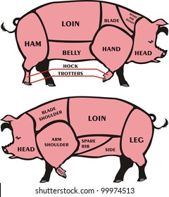 cuts of pork - american & british meat diagrams