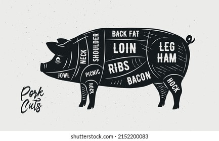 Cuts of Pork. Butcher Diagram, scheme, chart. Pig sketch silhouette isolated on white background. Vintage Poster for butcher shop, barbecue, restaurant. Vector illustration