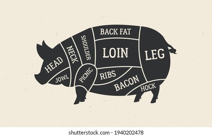 Cuts Of Pork. Butcher's Diagram With Pig Silhouette. Meat Cuts Of Pork. Vintage Butcher Guide Template For Grocery Store, Meat Shop, Butchery, Restaurant. Vector Illustration