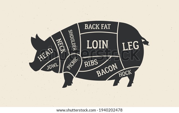 Cuts of Pork.\
Butcher\'s diagram with pig silhouette. Meat cuts of Pork. Vintage\
butcher guide template for grocery store, meat shop, butchery,\
restaurant. Vector\
illustration
