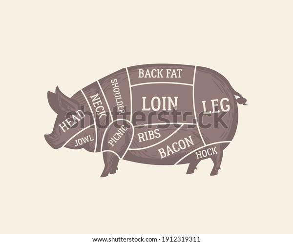 Cuts Pork Diagram Butchers Guide Poster Stock Vector (Royalty Free ...