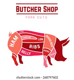 Cuts of pork with different colors. Vector Illustration