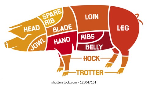 cuts of pork - meat diagrams 