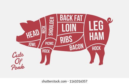 Cuts of Pork. Meat cuts. Pig silhouette isolated on white background. Vintage poster for meat,butcher shop. 
