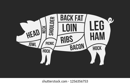 Cuts of pork. Meat cuts. Pig silhouette isolated on black background. Vintage Poster for butcher shop. Retro diagram. Vector illustration