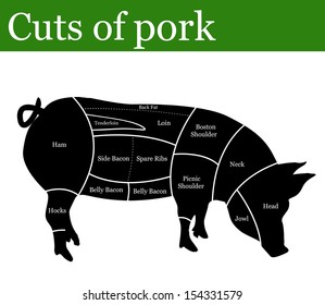 Cuts of pork or pig background, vector illustration