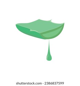 Hoja de aloe vera cortada con gota de esencia de petróleo realista. Productos ecológicos naturales dermatológicos vitaminas cosméticas para la salud de la piel.