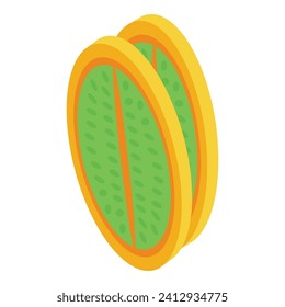 Cutted kiwano fruit icon isometric vector. Seed plant. Leaf fruit farm