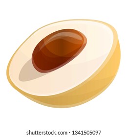 Cutted longan icon. Cartoon of cutted longan vector icon for web design isolated on white background