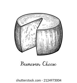 Cutted Parmesan cheese wheel. Ink sketch isolated on white background. Hand drawn vector illustration. Vintage style stroke drawing.