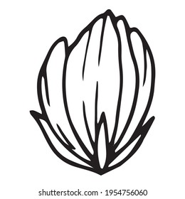 Cutted poppy icon. Hand drawn and outline illustration of Cutted poppy vector icon for web design