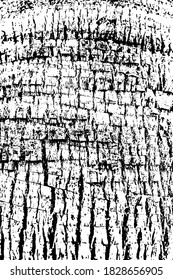Cutted scars, chopped slits, groove saw notches, scabbed of coco bole. Solid damaged shell of palm tree stem. Old hard rind barrel, cracked husk pruning details. Broken crust of log shaft on 3D design