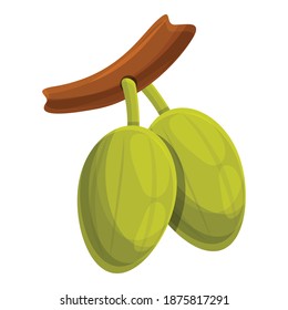 Cutted shea tree green nut icon. Cartoon of cutted shea tree green nut vector icon for web design isolated on white background