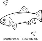 Cutthroat Trout. Idaho State symbol. Vector outline icon.