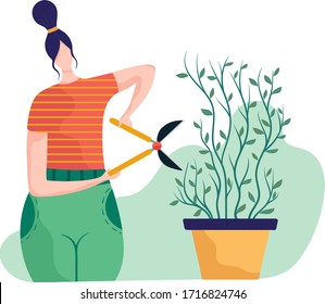 Cutting bush in kitchen and room concept and vector illustration on white background. Housewife work on shrub, remove excess leave. Farmer pruning crop, female characters. Flat style.