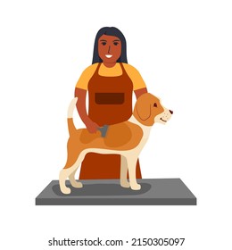 Cutting dog. Dog hanging on border.Pet grooming.Hairdresser for animal.Dog haircut.The girl combs the beagle fur.