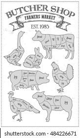 Cutting meat diagram guide cut scheme in vintage style. Chalk illustration graphic element for menu, banner. Steak cow pig chicken rabbit turkey goose duck lamb divided pieces. Silhouettes of animal