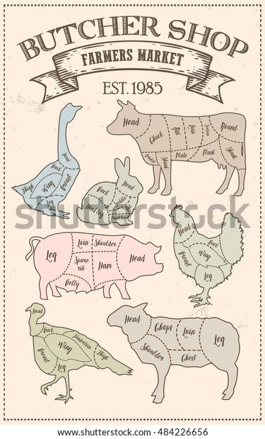 Cutting meat diagram guide cut scheme in vintage\
style. Chalk illustration graphic element for menu, banner. Steak\
cow pig chicken rabbit turkey goose duck lamb divided pieces.\
Silhouettes of animal