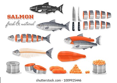 cutting salmon guide