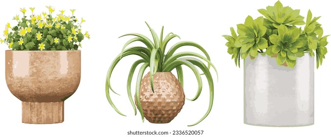 Cutting-Edge Natural Transparent Plant and flower with pot Cut-Outs transparency backgrounds illustration png