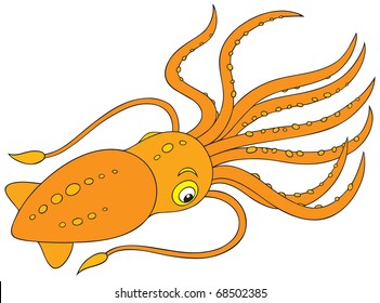 Cuttlefish