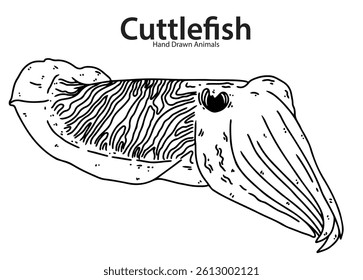 Cuttlefish animal hand drawn vector shape, black and white, sketch, easy to edit, coloring page, seafood