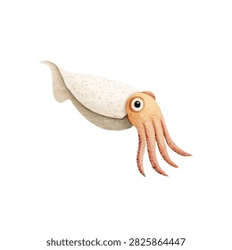 Cuttlefish with big eye looking sidewards