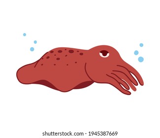 Cuttlefish character. Cartoon hand drawn illustration of cute ocean animal. Childish t shirt print, poster. Flat isolated vector clipart, white background