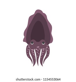 Cuttlefish color vector icon. Flat design