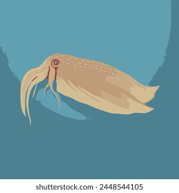 Cuttlefish Flat Vector Illustration Marine, Cephalopod, Wildlife, Animal, Icon.