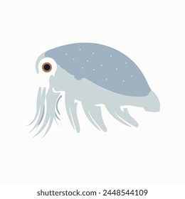 Cuttlefish Flat Vector Illustration Marine, Cephalopod, Wildlife, Animal, Icon.