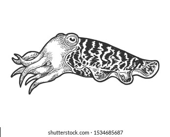 Cuttlefish marine mollusc animal sketch engraving vector illustration. T-shirt apparel print design. Scratch board style imitation. Hand drawn image.