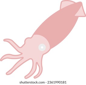 cuttlefish octopus mollusc cephalopod squid fish