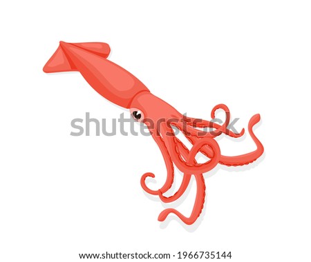 Cuttlefish sea animal design. Pink squid tasty sea food of restaurant. vector illustration