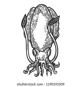 Cuttlefish sea animal engraving vector illustration. Scratch board style imitation. Black and white hand drawn image.
