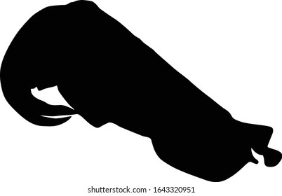 Cuttlefish (Sepiida) Silhouette Vector Found In Worldwide Ocean
