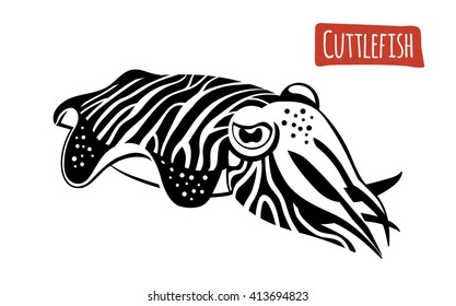 Cuttlefish, vector illustration, cartoon style