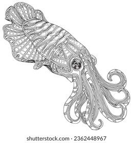 Cuttlefish vector Sea life tentacles 