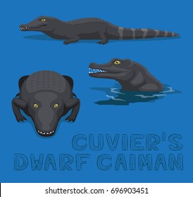 Cuvier's Dwarf Caiman Cartoon Vector Illustration