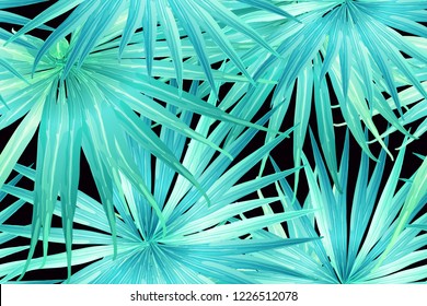 Cyan exotic pattern. Monstera and hibiscus flowers tropical bouquet. Hawaiian t-shirt and swimwear tile.  Horizontal romantic wild vector exotic tile. Bonny spring botanical design.