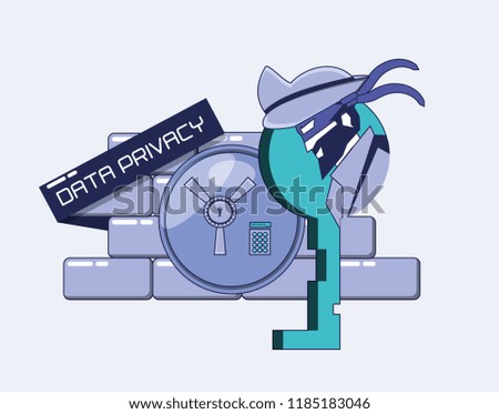 cyber pirate with wall and key data privacy