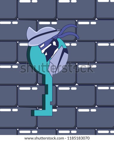 cyber pirate with wall and key data privacy