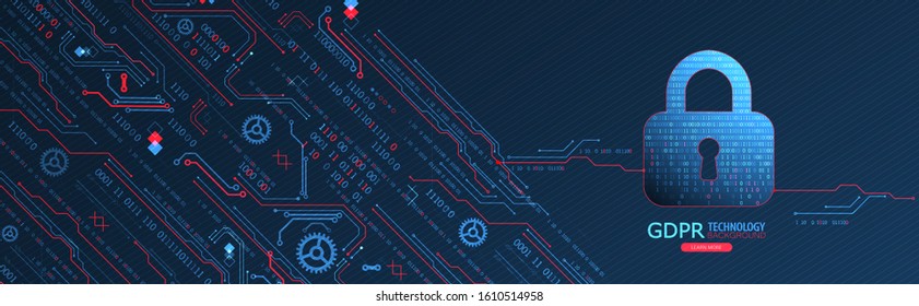 Cyber security or network protection.  System privacy.