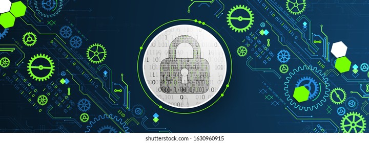 Cyber security or network protection.  System privacy.