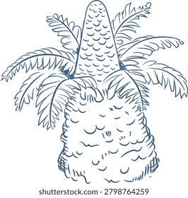 Cycad palm with textured trunk and arching frond detail in hand drawn linework. Symbol of tropic nature, growth, exotic garden, and serenity. Cartoon vector illustration.