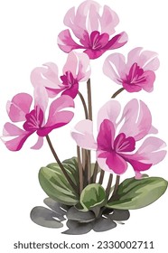 
CYCLAMEN flower , vector art watercolor shade.