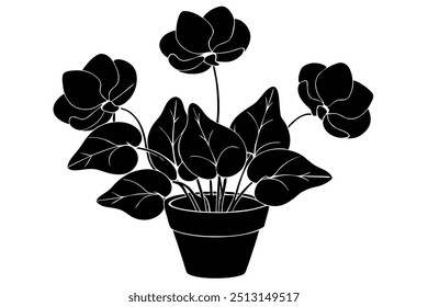 Silhueta de Cyclamen Flower sobre ilustração vetorial.